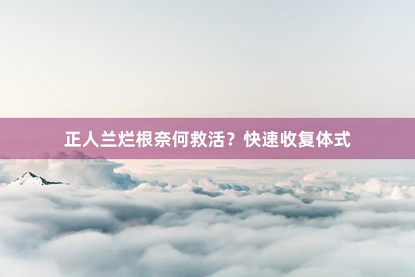 正人兰烂根奈何救活？快速收复体式
